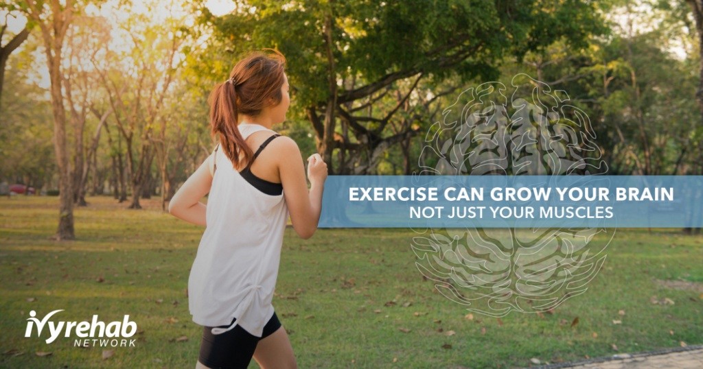 Exercise Can Grow Your Brain – Not Just Your Muscles