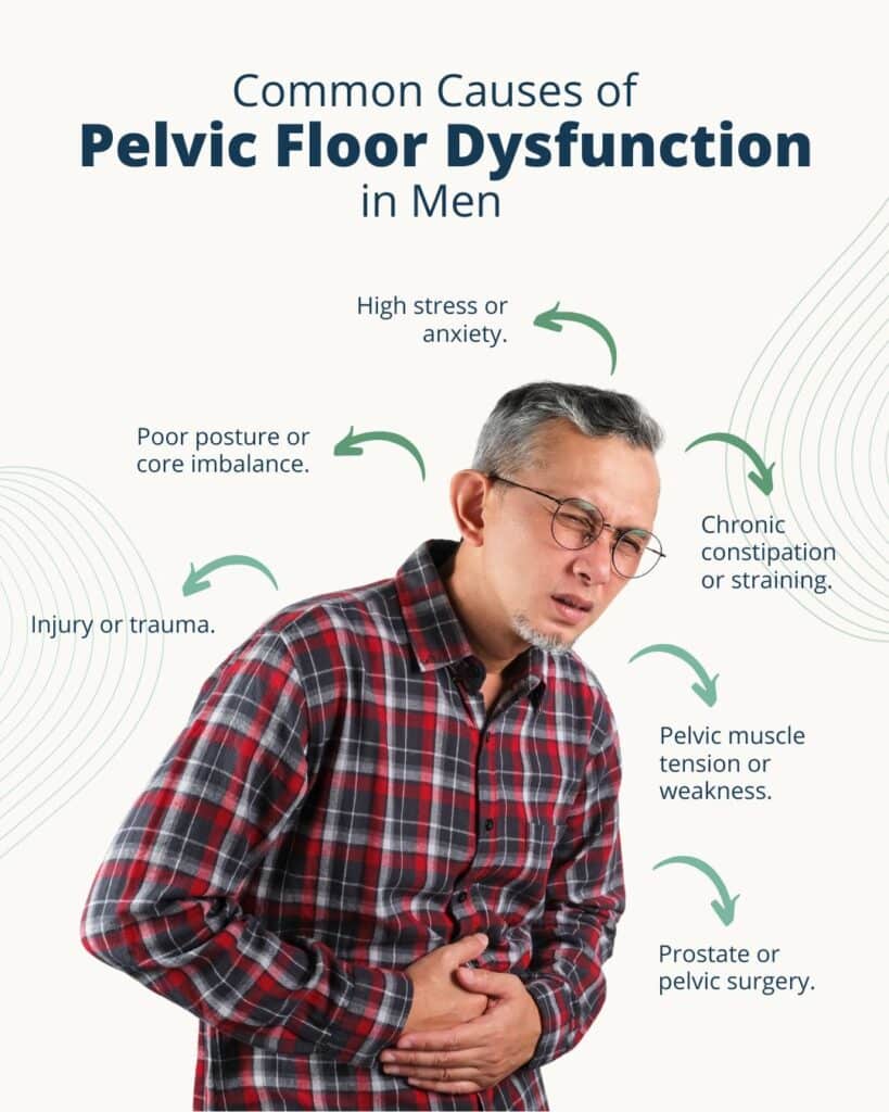 Pelvic Floor Dysfunction In Men Pt Guide Ivy Rehab